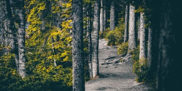 Photo define ab testing