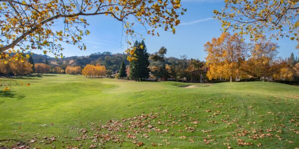 Photo Structured Data Example