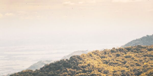 Photo Meta Tag Example