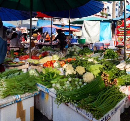 Photo Engaging Infographic