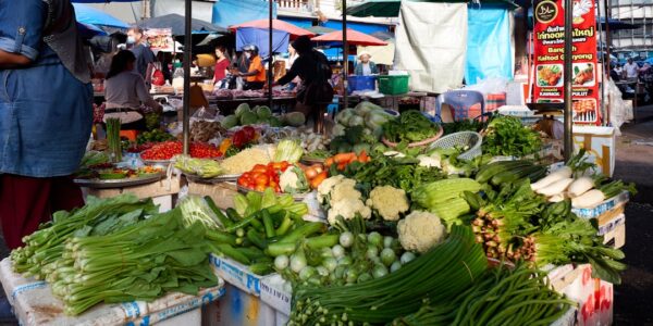 Photo Engaging Infographic