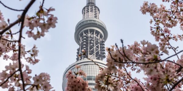 Photo Campaign Structure